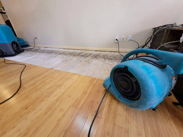 Professional Water Damage Repair technician working in University Place, WA